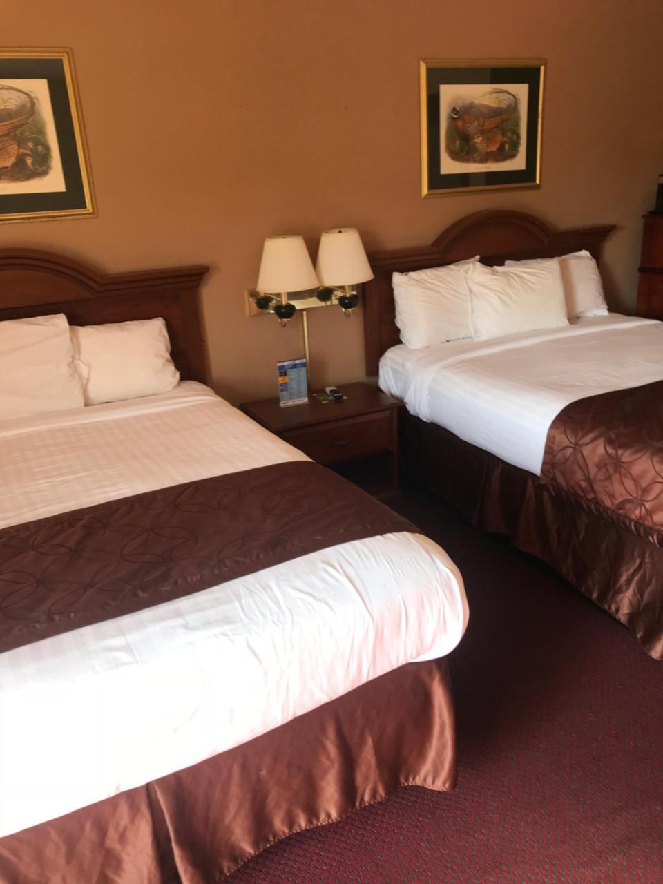 Shamrock Motel Хот Спрингс Екстериор снимка