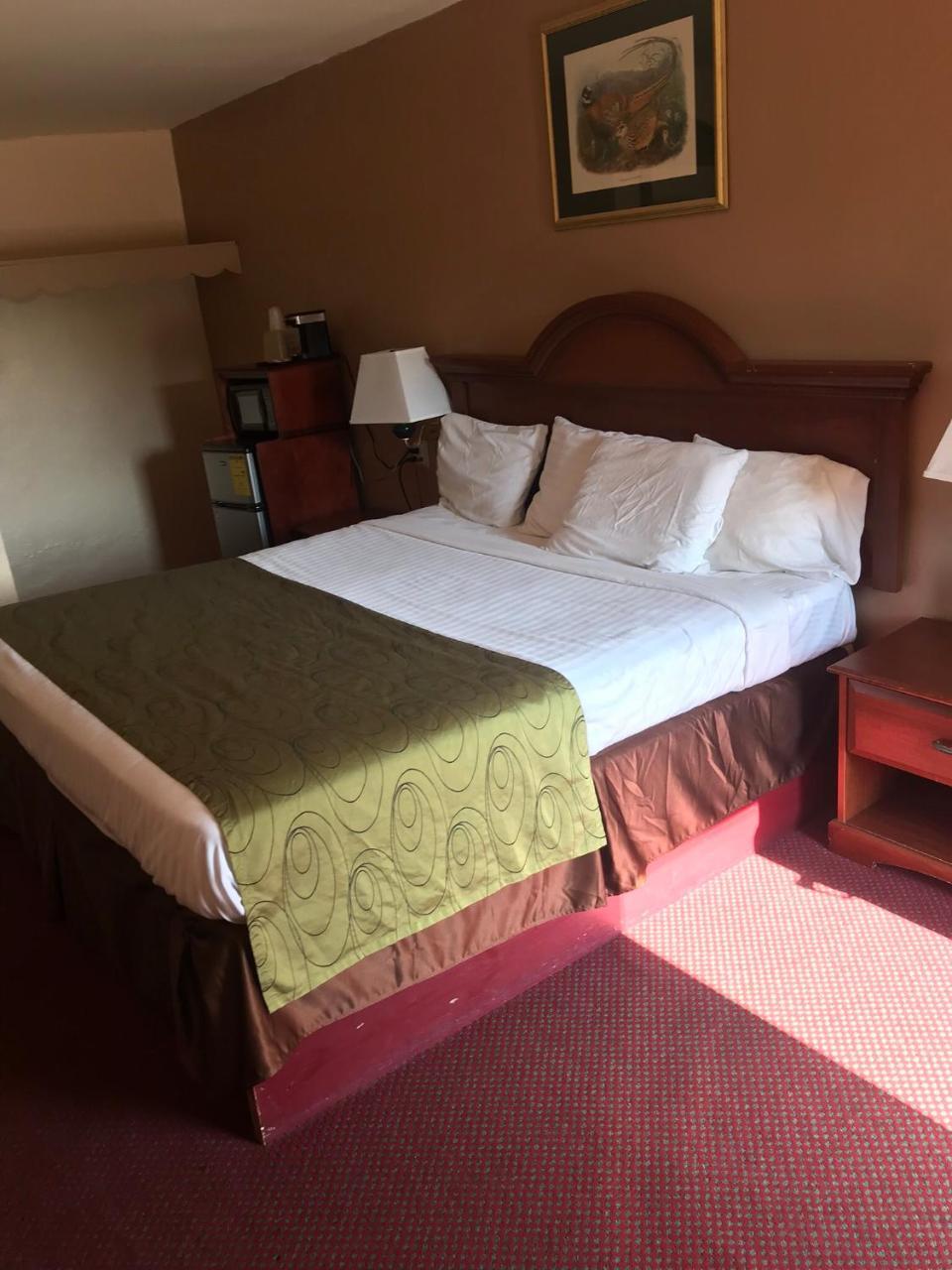 Shamrock Motel Хот Спрингс Екстериор снимка